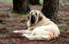 Filename=DSC_0019.jpg
Filesize=161KiB
Dimensions=1168x765
Date added=%833 %07, %2013 DSC_0019.jpg