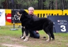 Filename=Timon-2-(2).jpg
Filesize=111KiB
Dimensions=1093x765
Date added=%833 %07, %2013 Timon-2-(2).jpg
