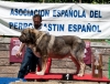 Filename=ch_duque_de_reciecho.jpg
Filesize=120KiB
Dimensions=960x733
Date added=%712 %30, %2013 ch_duque_de_reciecho.jpg