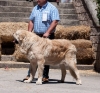 Filename=pol_de_los_piscardos.jpg
Filesize=167KiB
Dimensions=908x848
Date added=%712 %30, %2013 pol_de_los_piscardos.jpg