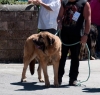 Filename=rex.jpg
Filesize=91KiB
Dimensions=832x798
Date added=%712 %30, %2013 rex.jpg