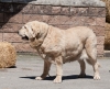 Filename=tracia_de_filandon.jpg
Filesize=128KiB
Dimensions=960x782
Date added=%712 %30, %2013 tracia_de_filandon.jpg