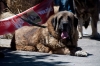 Filename=trueno_de_las_monta�as_de_leon.jpg
Filesize=84KiB
Dimensions=960x638
Date added=%712 %30, %2013 trueno_de_las_monta�as_de_leon.jpg