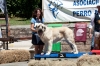 Filename=1magno_de_basillon.jpg
Filesize=121KiB
Dimensions=960x638
Date added=%650 %13, %2013 1magno_de_basillon.jpg