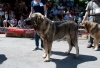 Filename=2moura_de_villapedre.jpg
Filesize=135KiB
Dimensions=960x658
Date added=%650 %13, %2013 2moura_de_villapedre.jpg
