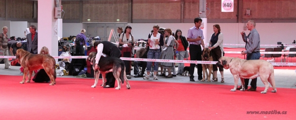 Ring BOB - World Dog Show Herning, Denmark 27.06.2010
