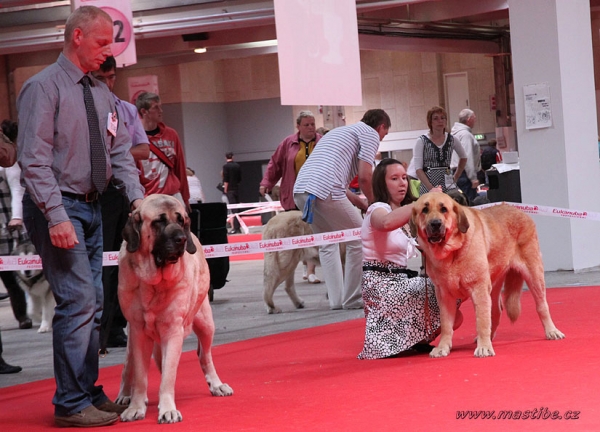 Gina Tornado Erben: EXC 1, World Winner & Anabel: EXC 2 -  Champiom Class Females, World Dog Show Herning, Denmark 27.06.2010 
