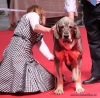 Filename=denmark-triana,.jpg
Filesize=148KiB
Dimensions=651x638
Date added=%798 %30, %2010 denmark-triana,.jpg