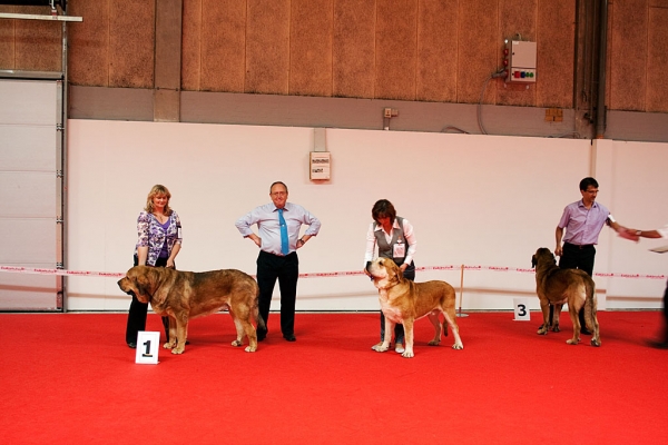 World Dog Show, Herning, Denmark - 27.06.2010
