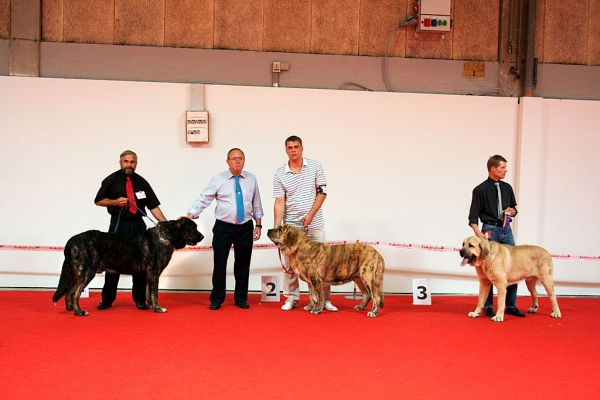 World Dog Show, Herning, Denmark - 27.06.2010
