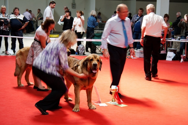 World Dog Show, Herning, Denmark - 27.06.2010
