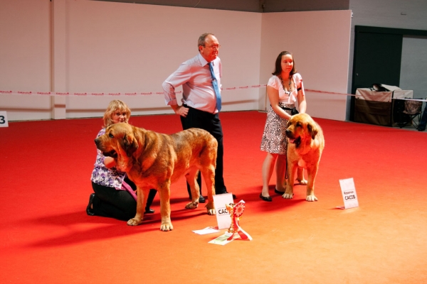 World Dog Show, Herning, Denmark - 27.06.2010
