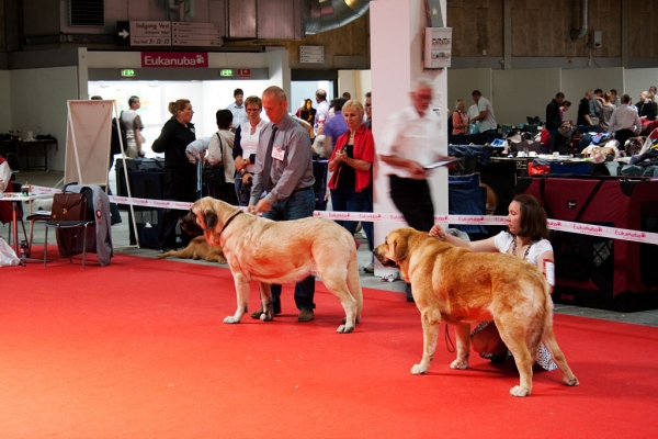 World Dog Show, Herning, Denmark - 27.06.2010
