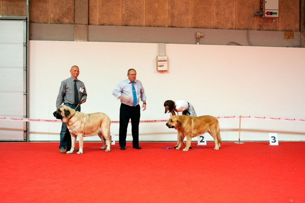 World Dog Show, Herning, Denmark - 27.06.2010
