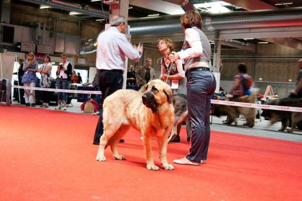 World Dog Show, Herning, Denmark - 27.06.2010
