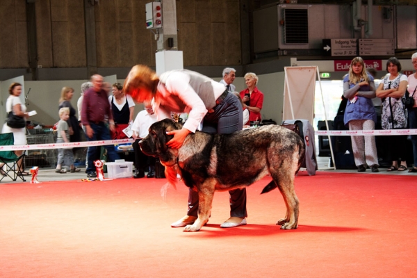 World Dog Show, Herning, Denmark - 27.06.2010
