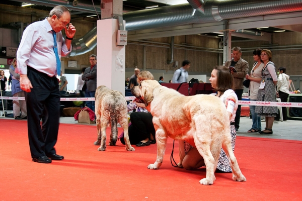 World Dog Show, Herning, Denmark - 27.06.2010
