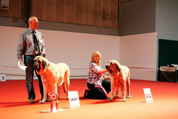 World Dog Show, Herning, Denmark - 27.06.2010
