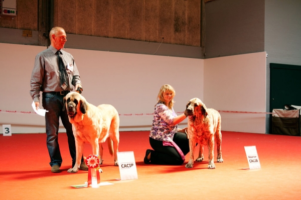 World Dog Show, Herning, Denmark - 27.06.2010
