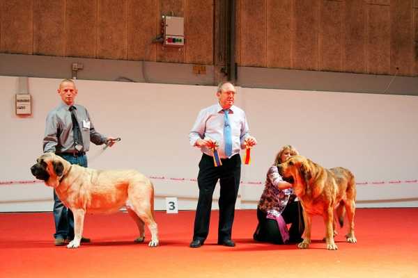 World Dog Show, Herning, Denmark - 27.06.2010
