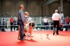 Filename=_MG_1520.jpg
Filesize=198KiB
Dimensions=1024x683
Date added=%900 %27, %2010 _MG_1520.jpg