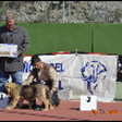 Reina de la Rabiza en Torrenueva - Granada-10-03-2012 
Keywords: 2012 rabiza