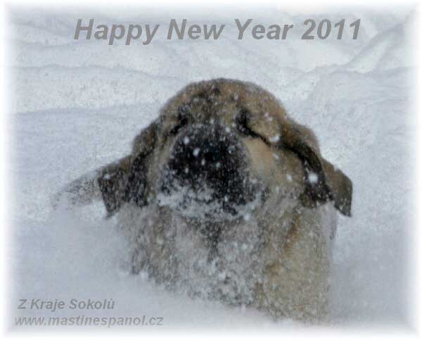 Happy New Year 2011 from Z Kraje Sokolu, Czech Republic
الكلمات الإستدلالية(لتسهيل البحث): sokol