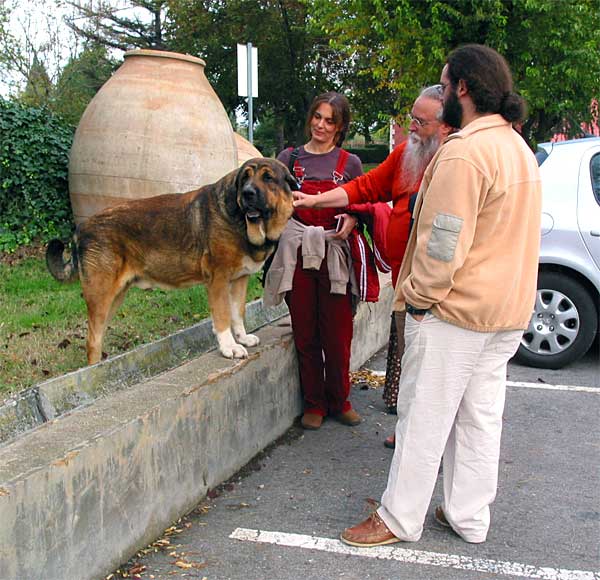 Osito de Los Cuatro Elementos with the breeders from del Dharmapuri, Italy - Monográfica AEPME - 30.10.2005
(Ch. Tango de la Corredera x Linda de Autocan)
Born: 20.12.2002
Breeder & owner: Juan Carlos Lopez Gonzáles 
Keywords: 2005 cuatro