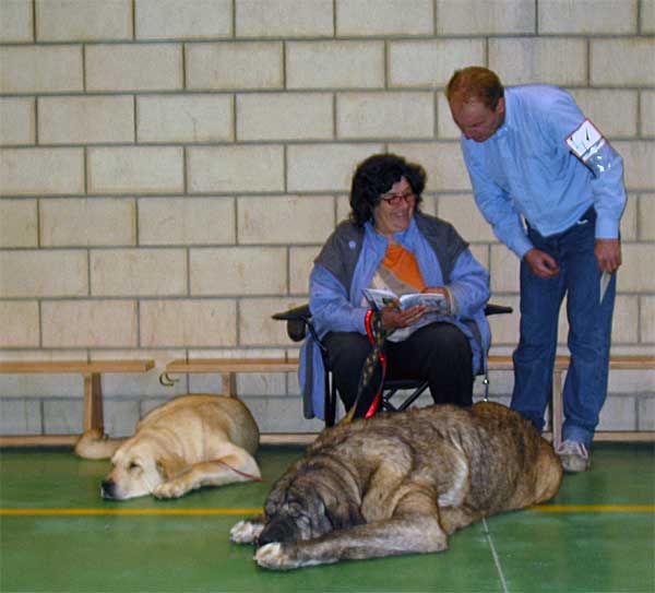 Faisa Des Gardiens D'Eckmühl, G & Caballero de Hazas de Cesto, Exc. 3 - XXV Monográfica AEPME 30.10.2005
Faisa: (Caballero de Hazas de Cesto x Tramontana Bella Dona des Terre de Glen More) - Born: 09.09.2004 
Caballero: (Abedul de Medina de Pomar x Caldea de El Regato de Subíria) - Born: 16.05.1998

Breeder: José Fdo. Uslé Rugama, owner: Cathy Dandelot 

Keywords: 2005