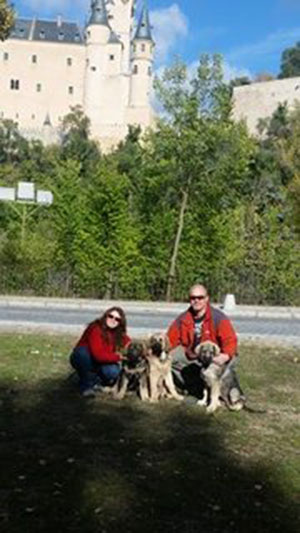 New puppies
Bora and Elda: Capitan de Babia x Triana de la Portiecha - born 29.  july 2916
Creta: Junco de la Portiecha x Cala de El Siledín - born 14. august  2016

