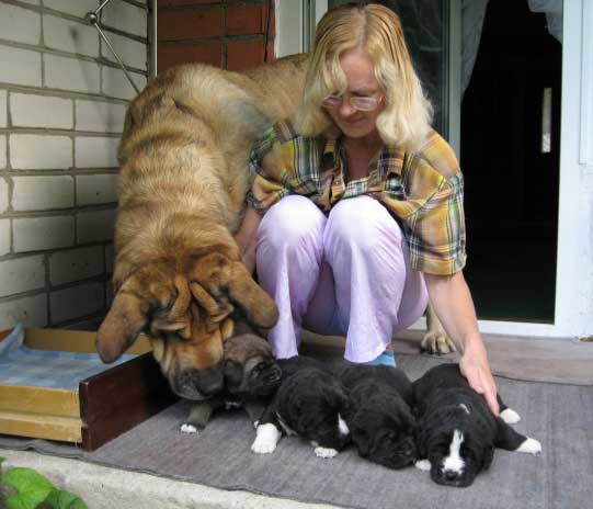 Elfa (Bas Magia Alabama) and her puppies born July 2007
Naik Naikons Lirs Favorits x Bas Magia Alabama 
Keywords: elfa