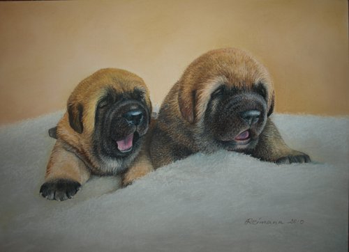 Pastel portrait of mastin babies, size 30 x 40 cm - made by Anu Reimann, Estonia
Made by Anu Reimann, kennel Anuler, Estonia
Keywords: art anuler