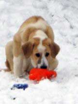 Ava of the Witches Meltingpot - in the snow
Keywords: snow nieve latimer