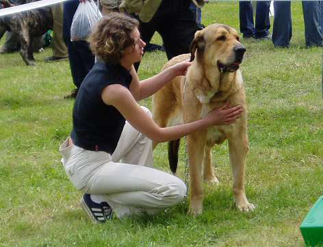 Astra Dobra Rasa - Champion Class Female - Exc. 1, CWC, res. CACIB - International Show, Kraków, Poland, 27.06.2004
(Kastor's Haus Burgos x Carina z Karolewka)
Born: 12-03-2001 
Owner: Joanna Turek

 

Keywords: 2004 fresu