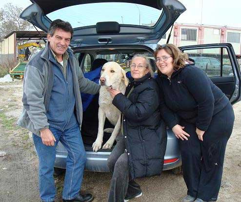 Voluntarios de Protectora Kimba y Asociación Solúcar recogen y dan en adopción dos mastines machos que estaban en la calle 
www.mastines-espanoles.com/news.php?item.689.21 - article 
Keywords: adoption adopciones