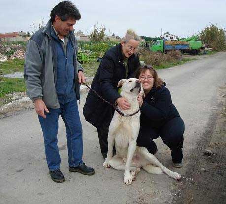  Voluntarios de Protectora Kimba y Asociación Solúcar recogen y dan en adopción dos mastines machos que estaban en la calle 
www.mastines-espanoles.com/news.php?item.689.21 - article 
Keywords: adoption adopciones