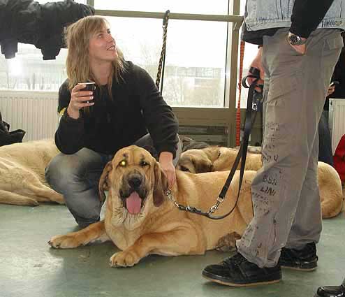 Feimi z Kraje Sokolu, Very good 2 Young Class Females - International show Brno 11.02.2007
(Sultan x Aylen z Kraje Sokolu) 

Keywords: 2007 sokol