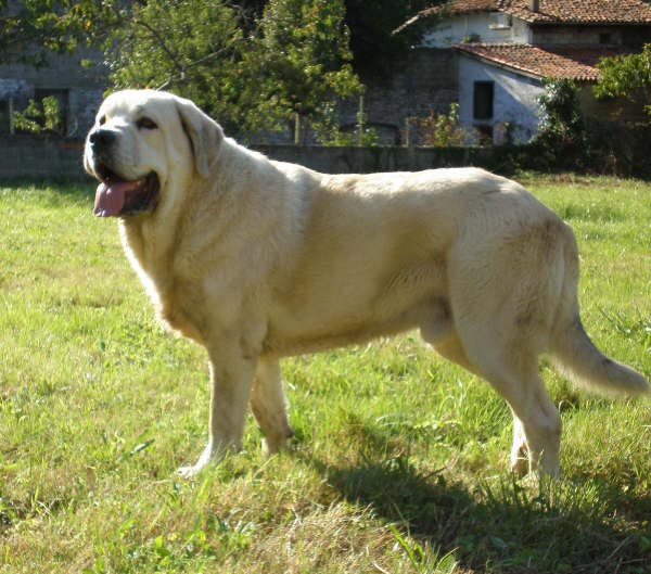 Martín de Torreanaz con 13 meses
Keywords: lariberadelpas