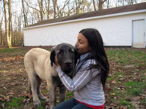 DeNiro at 5 months and 1 week November 16, 2008
(Fantom Tornado Erben x Charlotta Tornado Erben )
Born: 08.06.2008
Keywords: kids norma pacino tatyana deniro brando