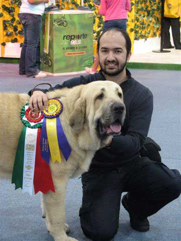 Pando de Fuente Mimbre: Exc. 1, Best Male, BOB & World Winner - World Dog Show Mexico 2007
Keywords: fuentemimbre