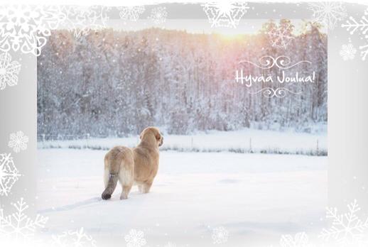Merry Christmas & Happy New Year from Satu Kohonen, Finland
Keywords: xmas