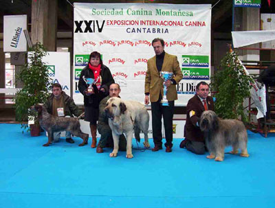 'Razas Españoles', Torrelavega, Santander, 27.03.2004
Keywords: 2004