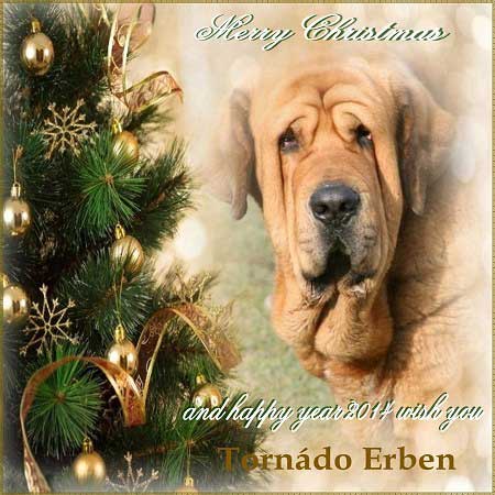 Merry Christmas & Happy New Year 2014 from 'Tornado Erben', Czech Republic 
Keywords: xmas tornado