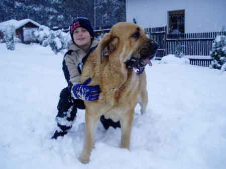 Dora z Kraje Sokolu
(Alto del Grande Creta Lago x Aylen z Kraje Sokolu)  

Keywords: kids snow nieve sokolu