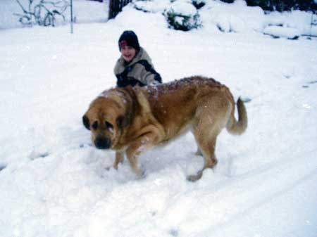 Dora z Kraje Sokolu
Keywords: sokolu snow nieve