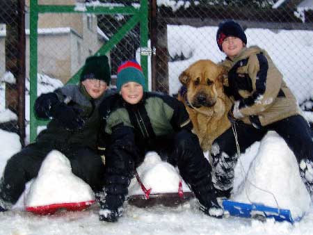 Dora z Kraje Sokolu
(Alto del Grande Creta Lago x Aylen z Kraje Sokolu)  

Keywords: kids snow nieve sokolu