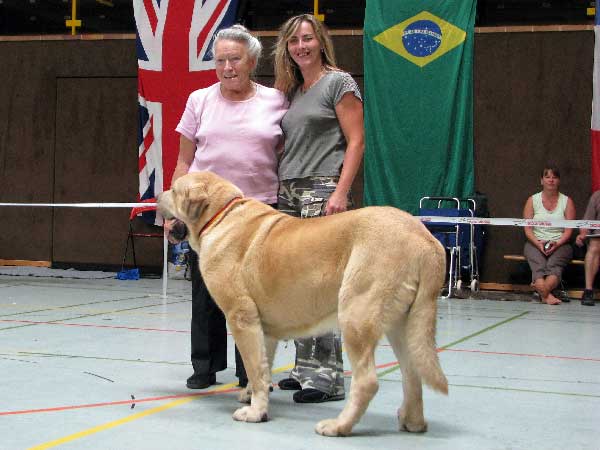 Sultán: Exc.1, CAC VDH, CAC Club, CSA, Club winner 2008, BOB - Club Show, CfM, Bensheim, Germany - 02.08.2008
(Ordono x Princes de Vega de Albares)

Breeder : Angel Sainz De La Maza, Spain
Owner : kennel - Z Kraje Sokolu, Czech Republic
Keywords: 2008 sokol