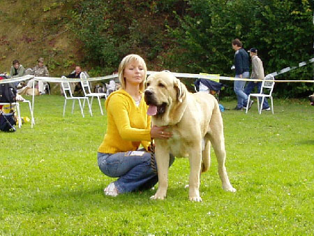 Gabon z Kraje Sokolu - Exc.1, CAJC, BOB, BOS, Young Class Males, Special Show Moloss club CZ, Kromeriz 29.09.2007
(Sultan x Clea z Kraje Sokolu)


Keywords: 2007 mastes sokol