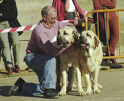 Duquesa & Rocki III de Autocan - Mansilla de las Mulas, León, 08.11.1999
Breeder & owner: Isidro Gárcia. 


Keywords: 1999 autocan