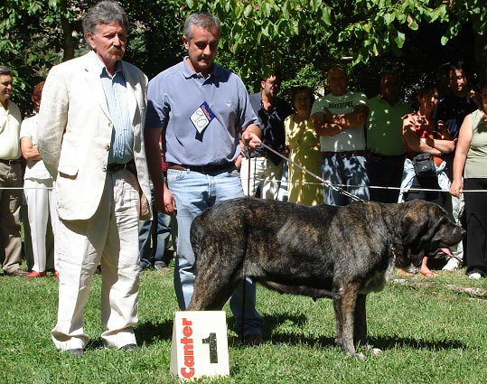 Tita de Los Zumbos - Champion Class Females - Barrios de Luna 09.09.2007
Anahtar kelimeler: 2007 zumbos